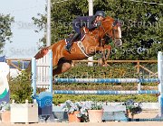 BICOCCHI Hialoubet Vassago GioCav2013 S6 7759 : BICOCCHI Emilio, Campionati Italiani Giovani Cavalli, Cattolica, Hialoubet Vassago, ph Stefano Secchi ©